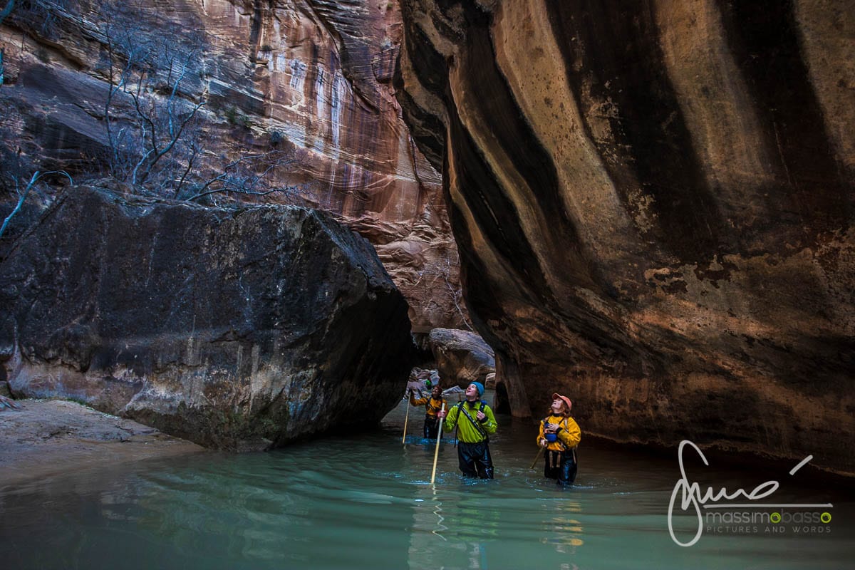 Parco Nazionale Zion National Park Utah