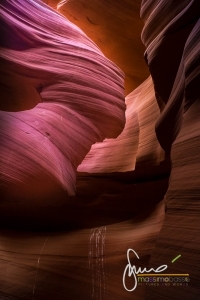Escursione Upper Antelope Canyon E Lower Antelope Canyon