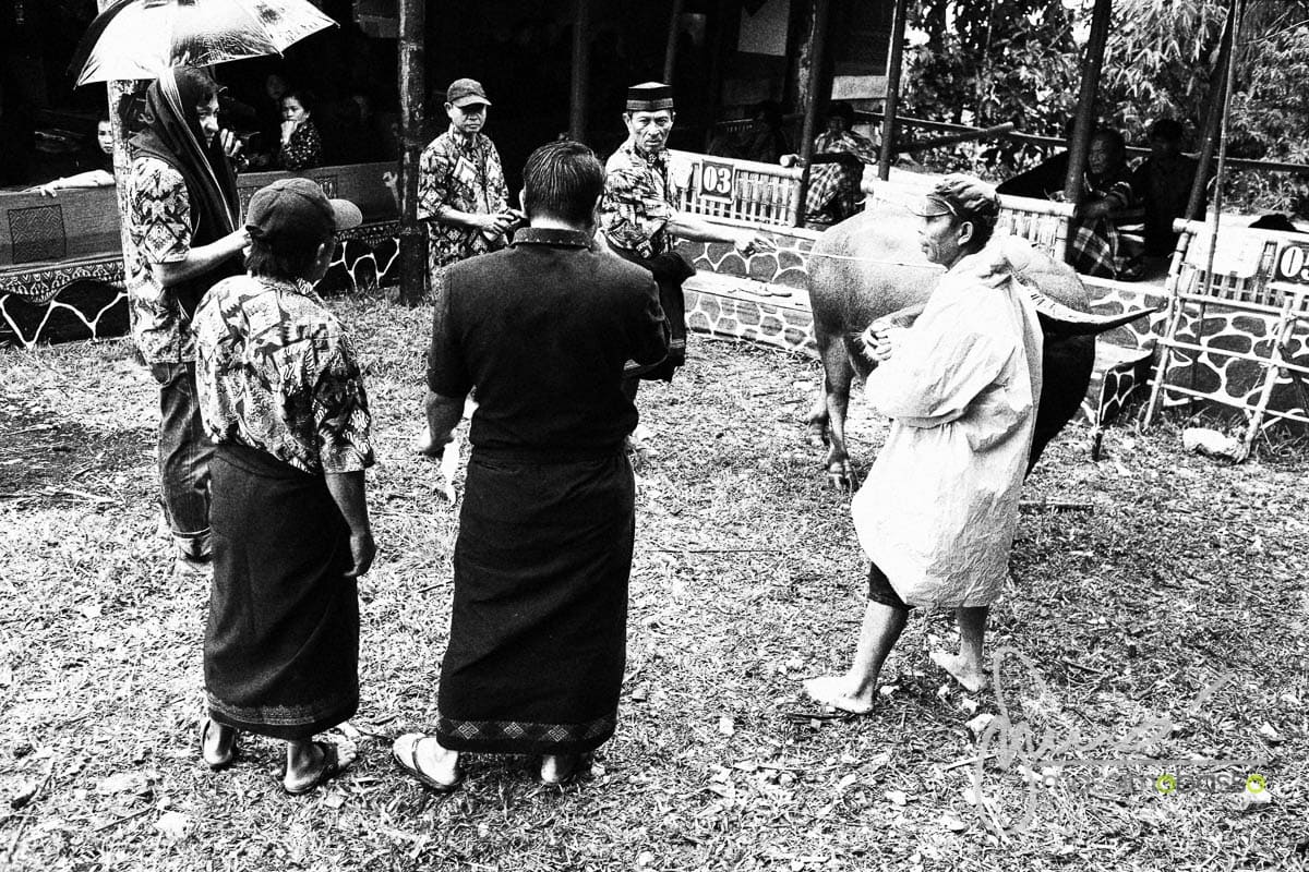 Funerale e culto dei morti a Toraja