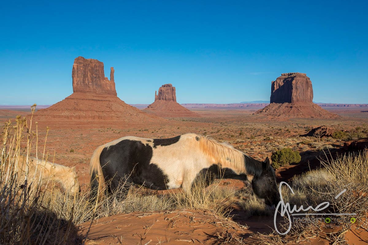 Monument Valley Riserva Dine' Navajo Monument