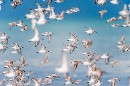 alaska in primavera un itinerario di viaggio insolito