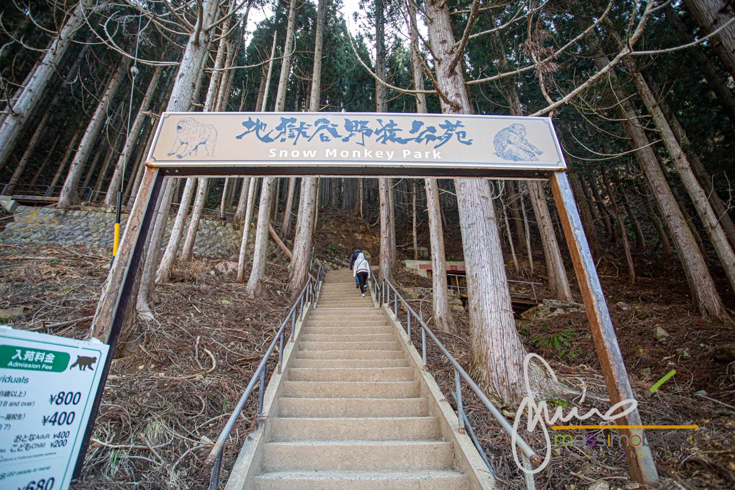 Il Parco delle Scimmie delle Nevi di Jigokudani in Giappone.