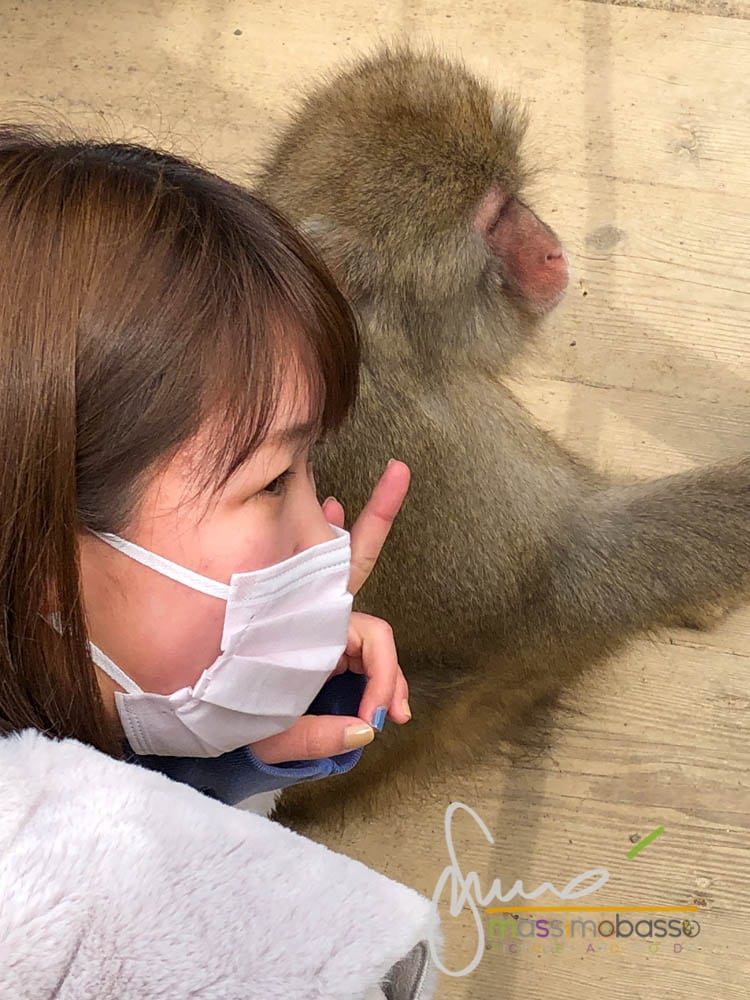 Il Parco delle Scimmie delle Nevi di Jigokudani in Giappone.