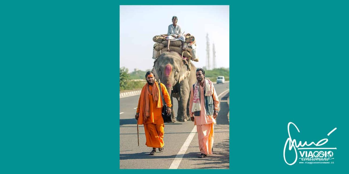 santoni, sadhu in pellegrinaggio con un elefante