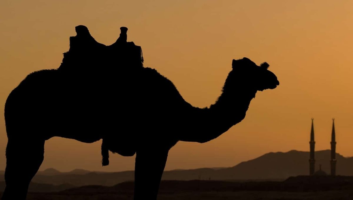 Sharm el Sheik Mar Rosso