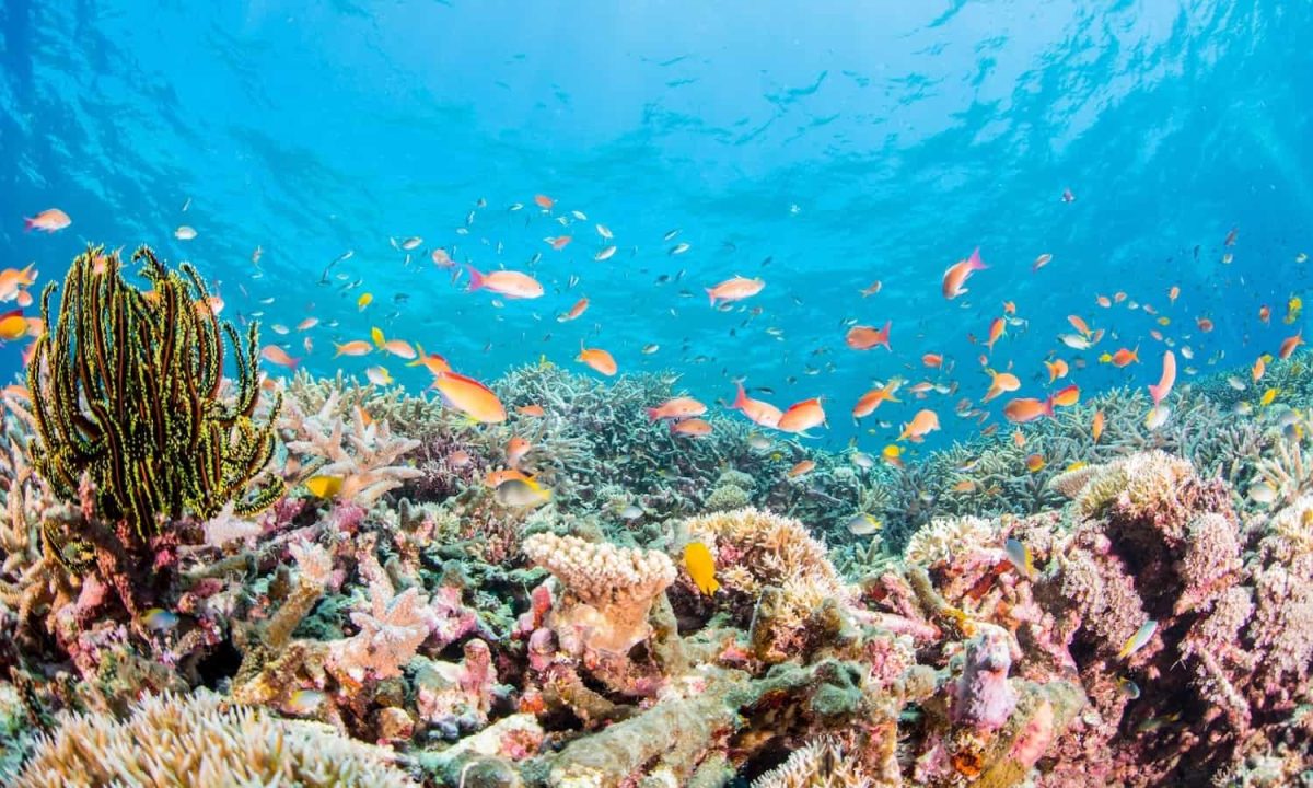 Sharm el Sheik Mar Rosso