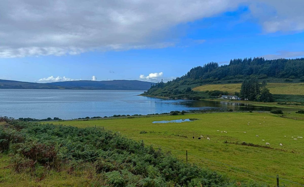 Staffa, Mull e Iona nelle Ebridi interne in Scozia-7