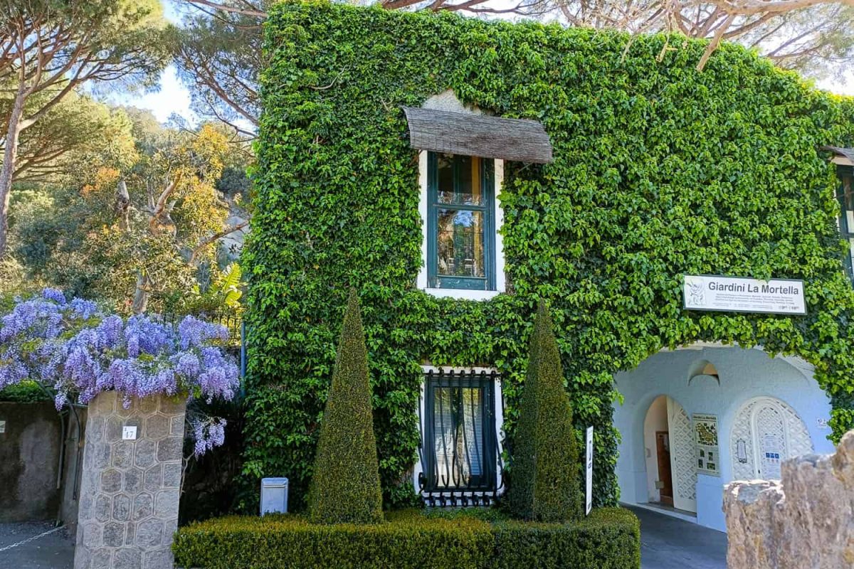 I Giardini La Mortella ad Ischia - fondazione William Walton-1