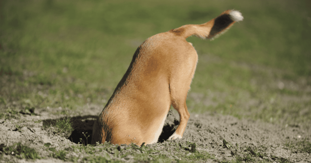 I pensieri ossessivi sono falsi?