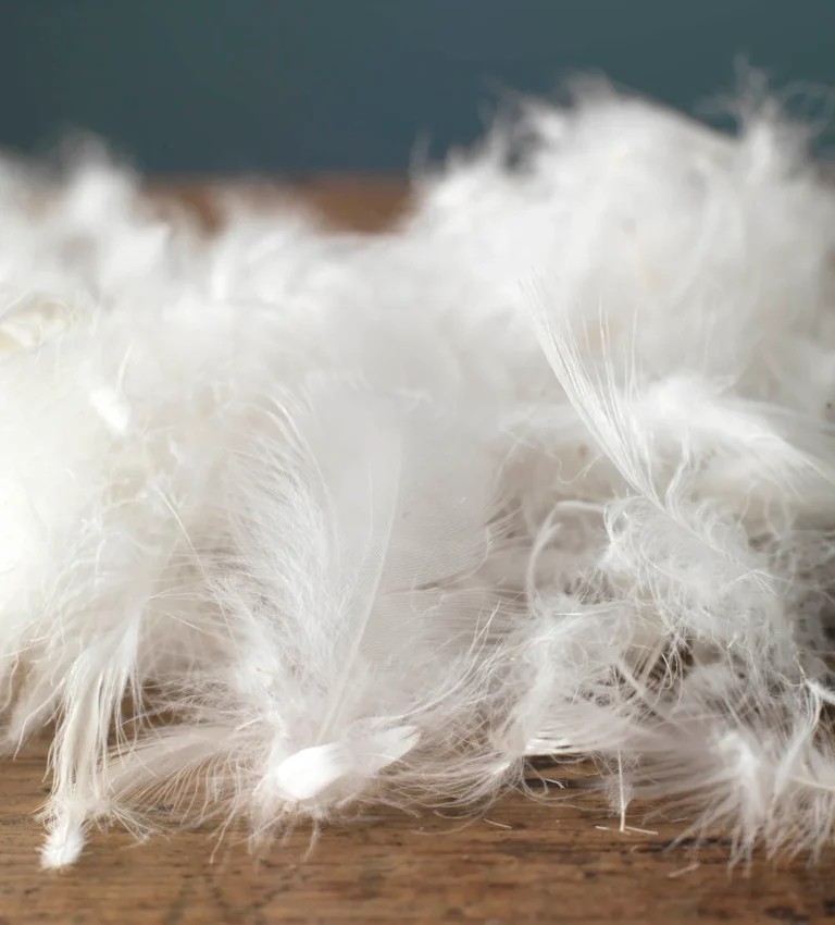 Goose Feather & Down : 3" Mattress Topper