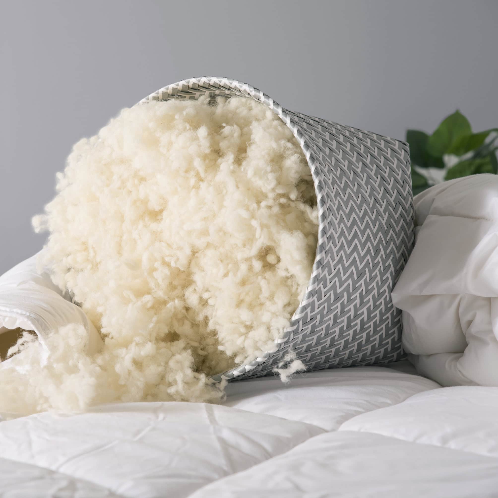 Australian Wool Filled Pillow