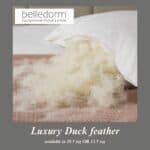 Softened Duck Feather Duvet