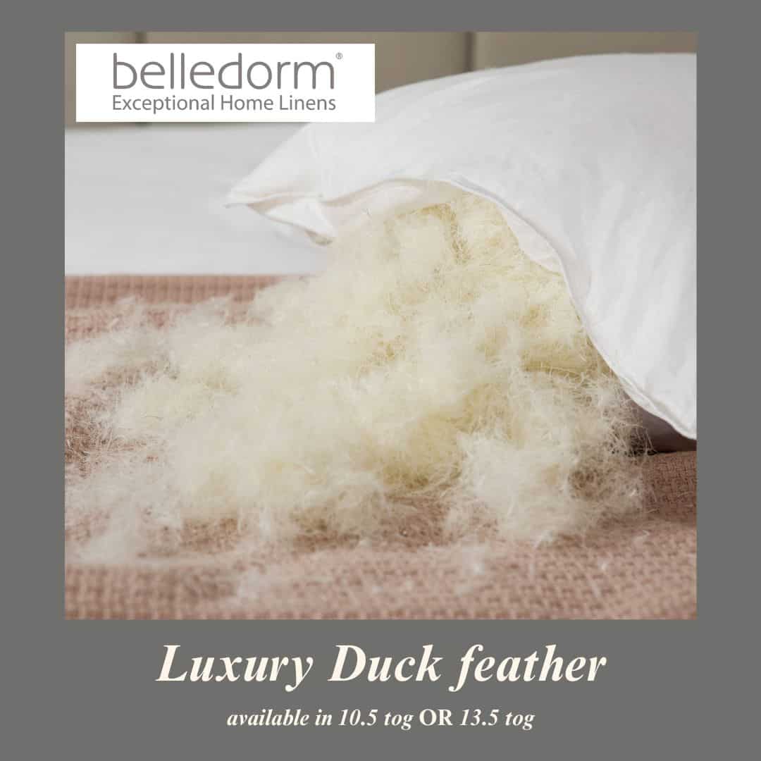 Softened Duck Feather Duvet