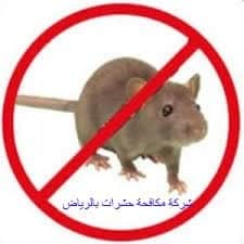 شركة مكافحة حشرات بالرياض