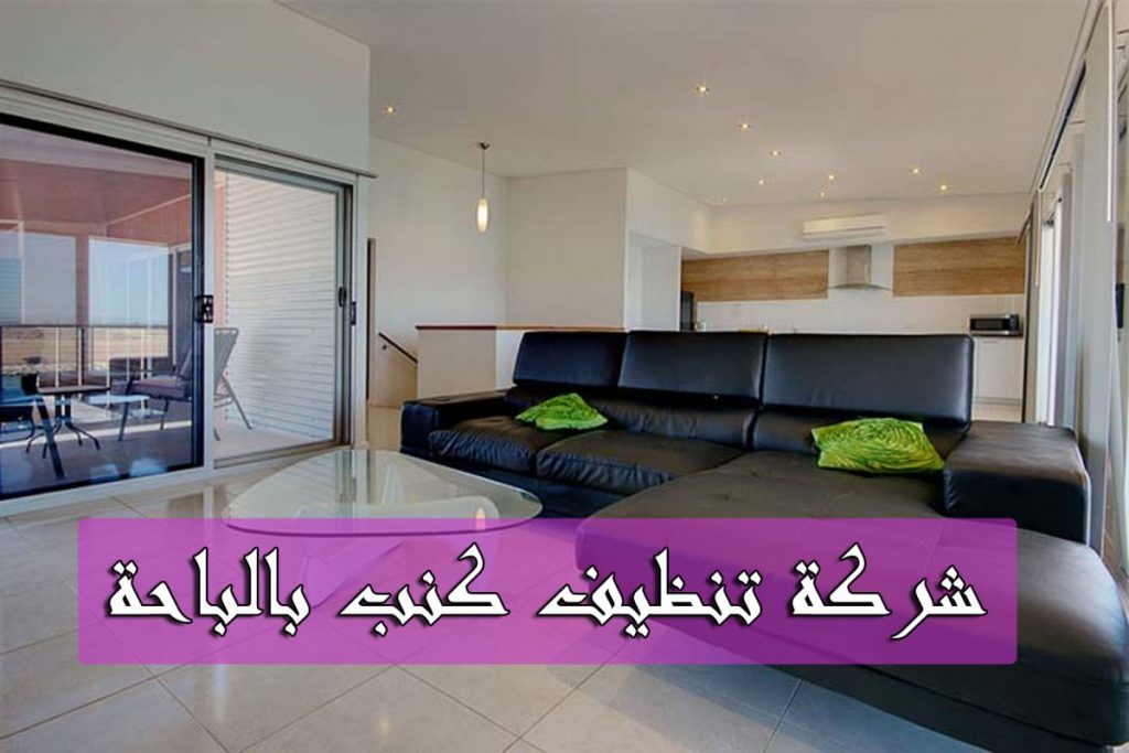 شركة تنظيف فلل بالباحة شركة نظافة بالباحة شركة تنظيف كنب بالباحه شركة تنظيف موكيت بالباحه 
