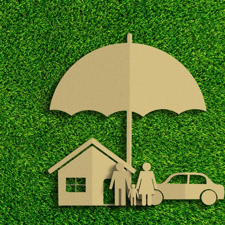 retirement plan with insurance