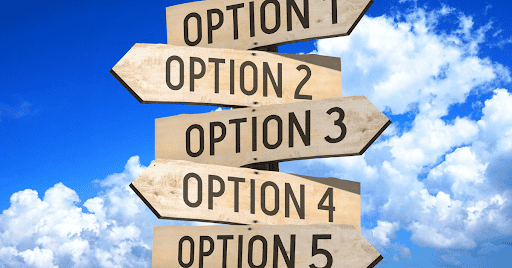 plenty of endowment plans option