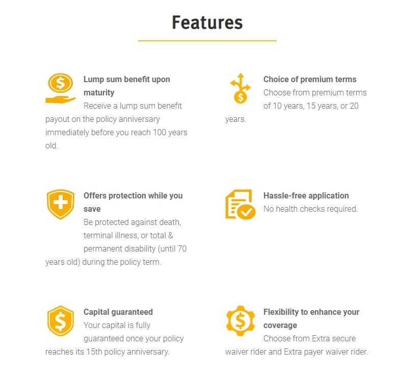 Etiqa Enrich Flex summary features