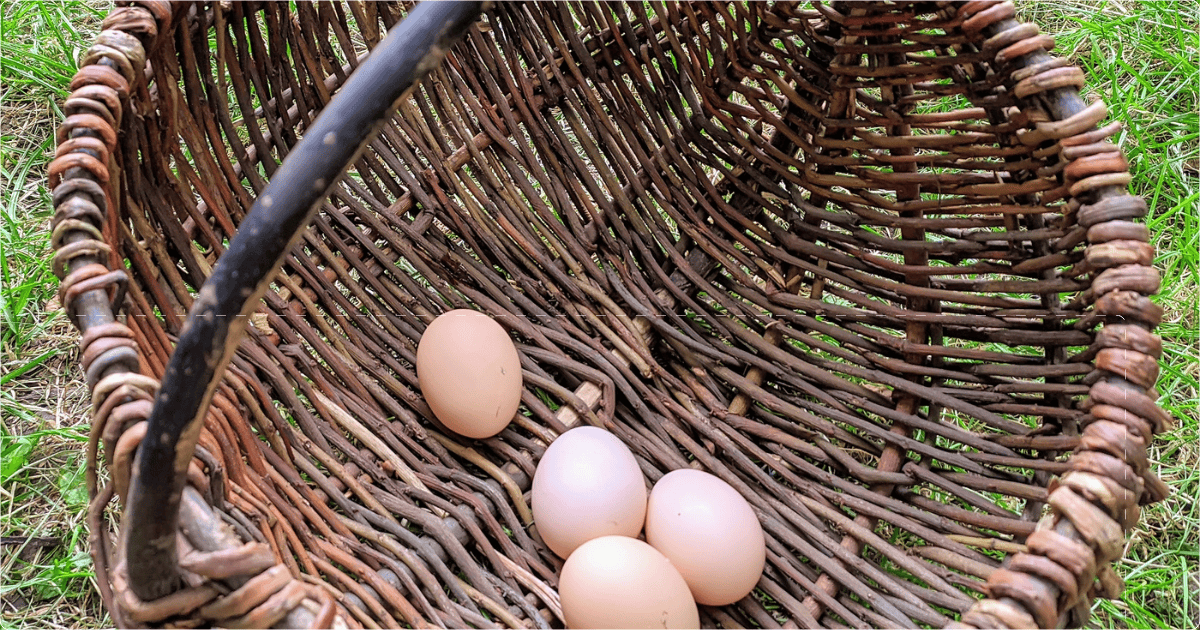 Putting All Your Eggs in One Basket