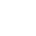 EMERGENCY ICON