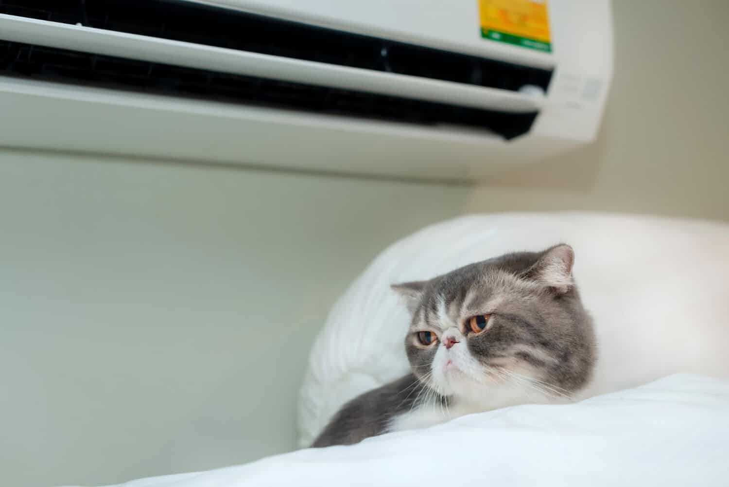 indoor air quality