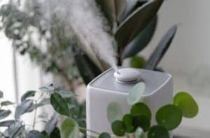HUMIDIFIER