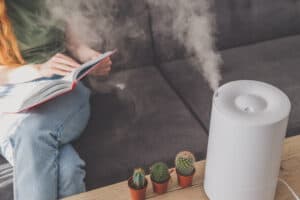FURNACE HUMIDIFIER