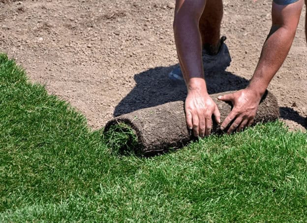 Sodding and Seeding: What’s The Difference