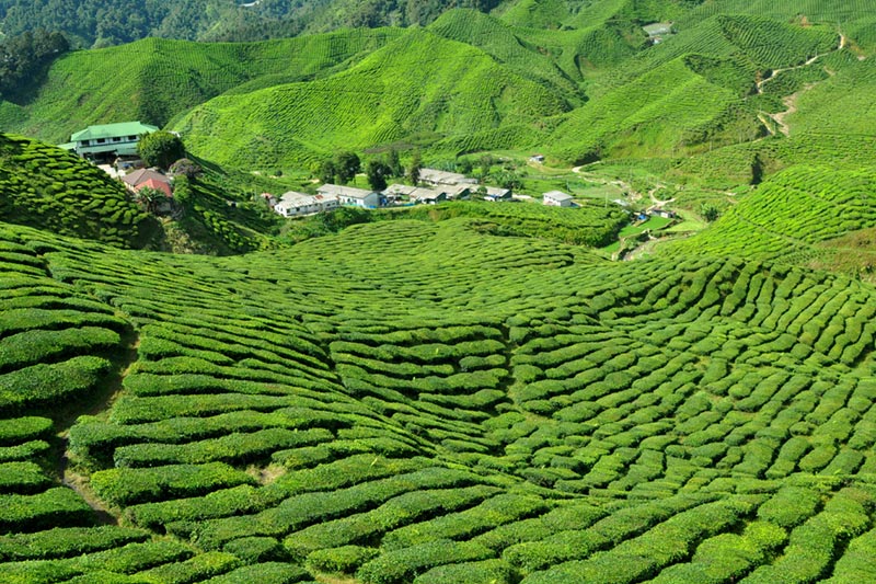 Places to Visit in Malaysia 19 places to visit in Malaysia