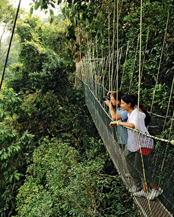 places to visit in pahang