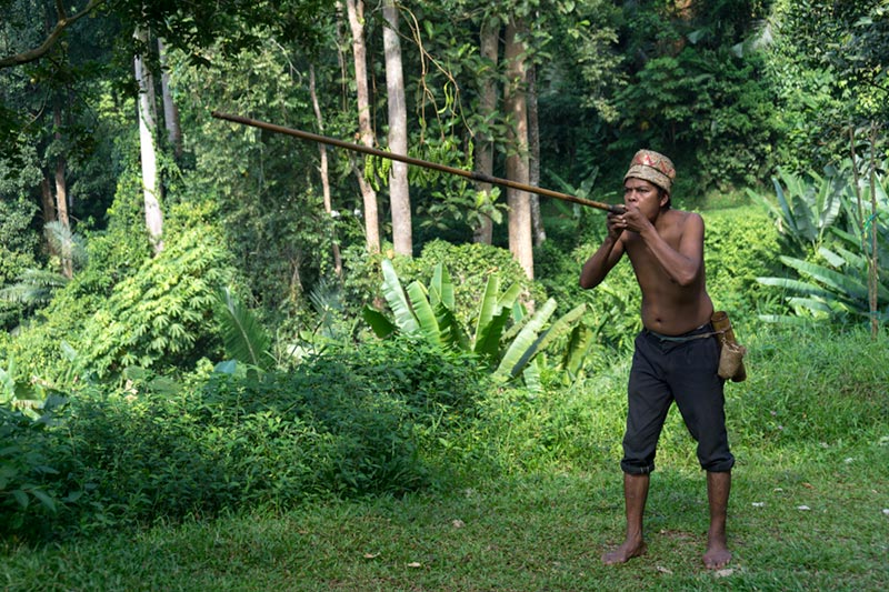 Cameron Highlands tour from Kuala Lumpur