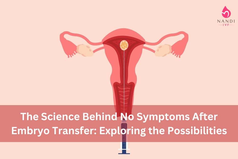 Illustration of female reproductive system highlighting embryo transfer process.