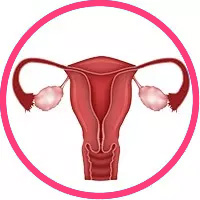 Best IVF Centre in Delhi with High Success Rate - Nandi IVF