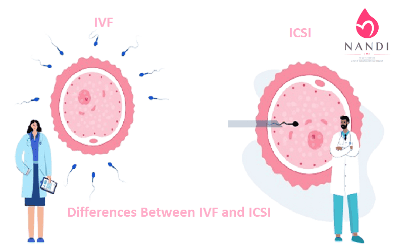 Illustration showing IVF and ICSI procedures with doctors and eggs.