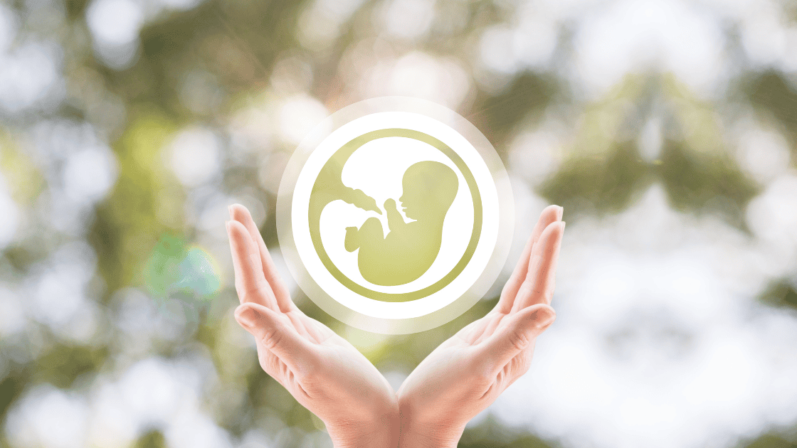 Symbolic image of embryo donation with hands holding a fetus icon.