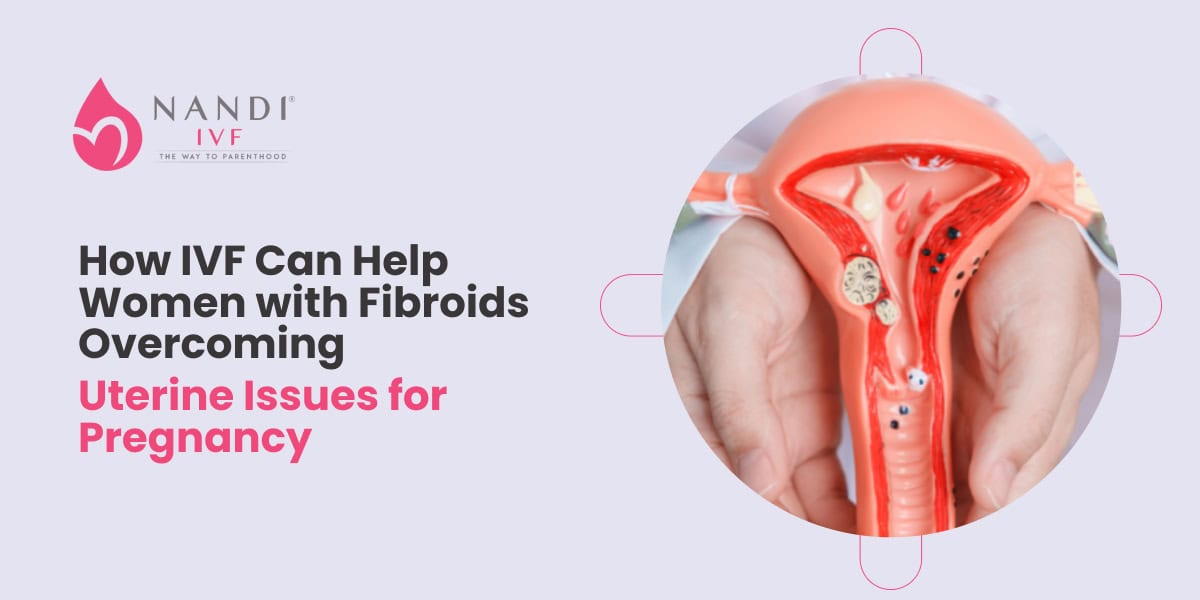 Detailed uterus model showing fibroids and reproductive anatomy for IVF.
