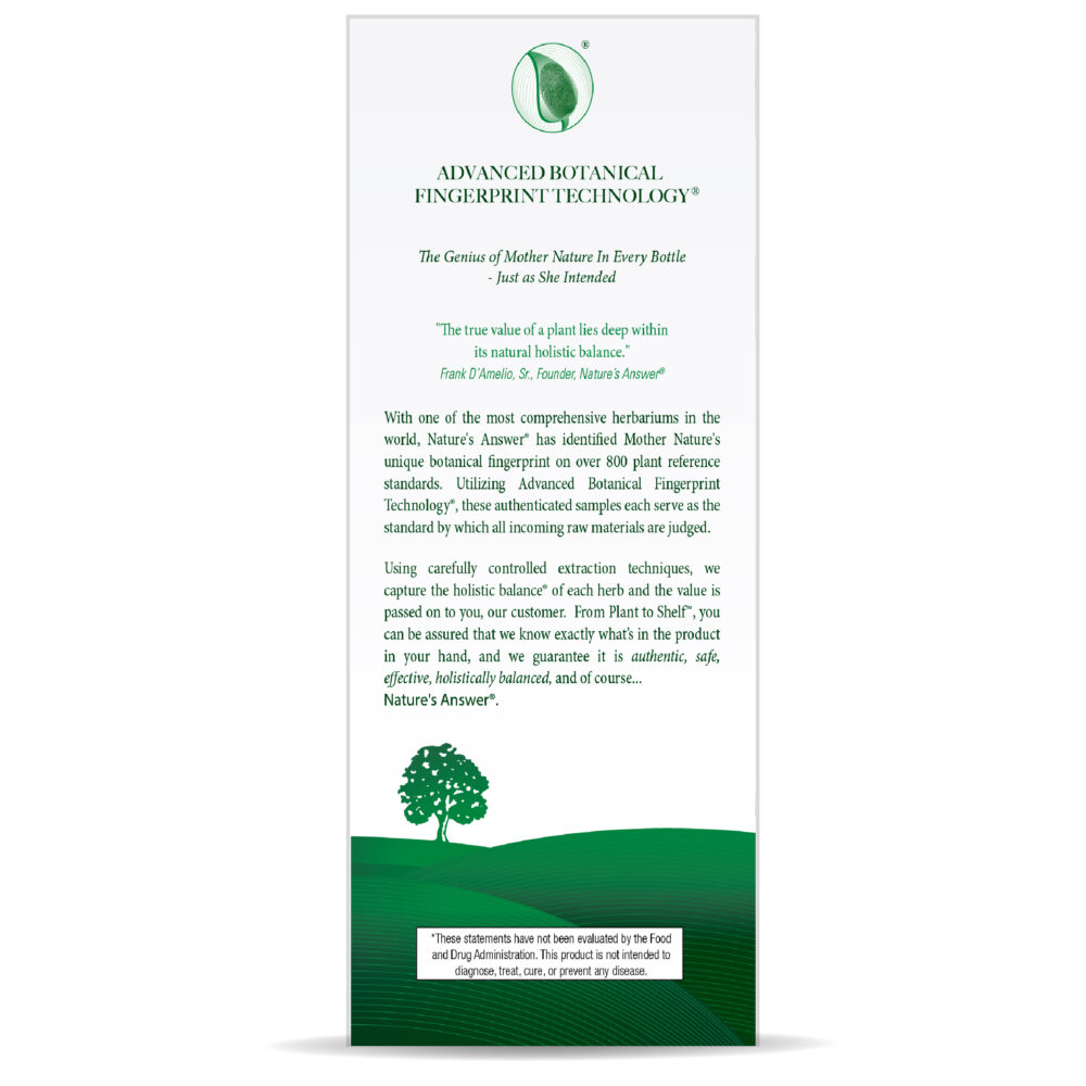 Sambucus Original Liquid Extract 16 oz - Image 5