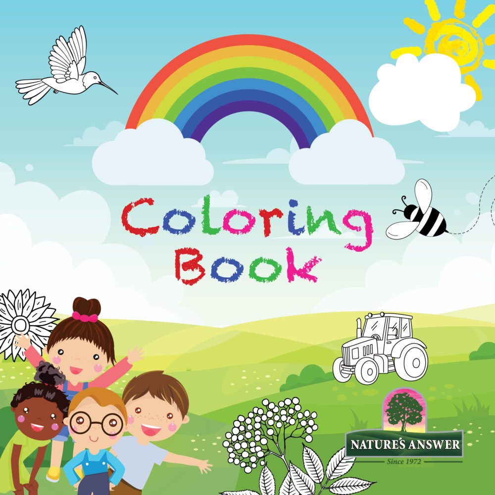 Coloring Book & Crayons - Image 2