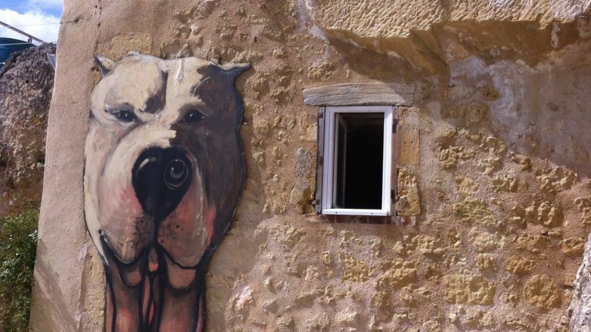 Grotwoning Vernou-sur-Brenne, Loire Frankrijk