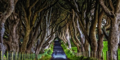 Dark Hedges Ierland, Kingsroad, filmlocatie Game of Thrones wereldwijd
