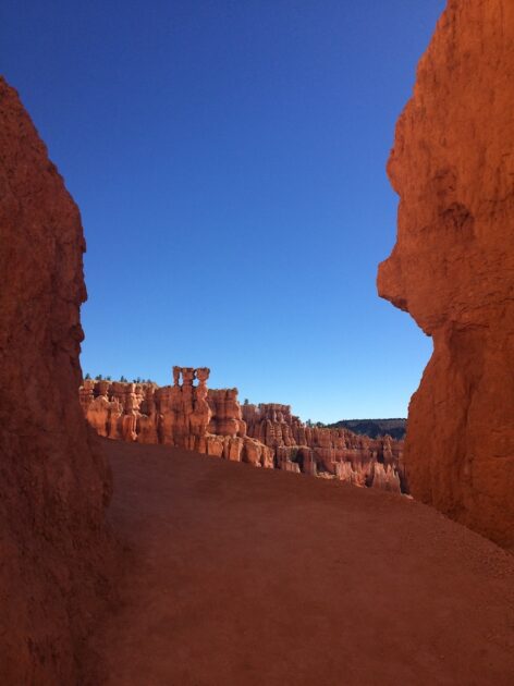 Bryce Canyon National Park Utah Amerika