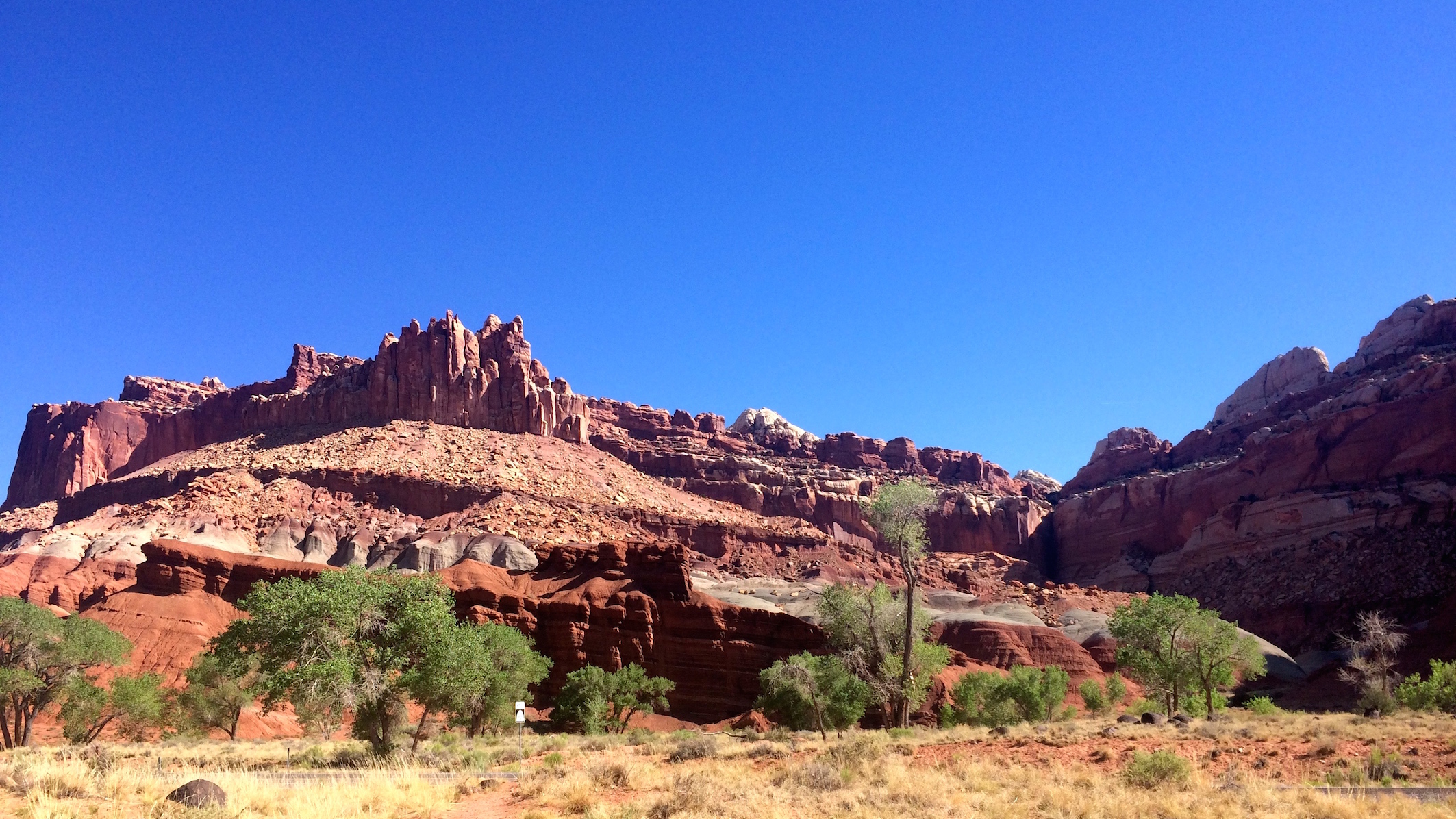 Capitol Reef National Park bezoeken tijdens je rondreis West-Amerika - tips en bezienswaardigheden