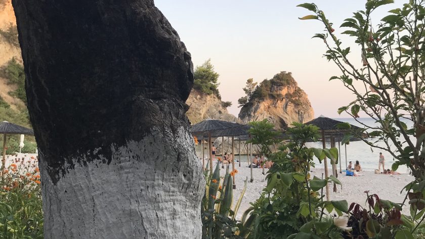 Piso Krioneri, Parga