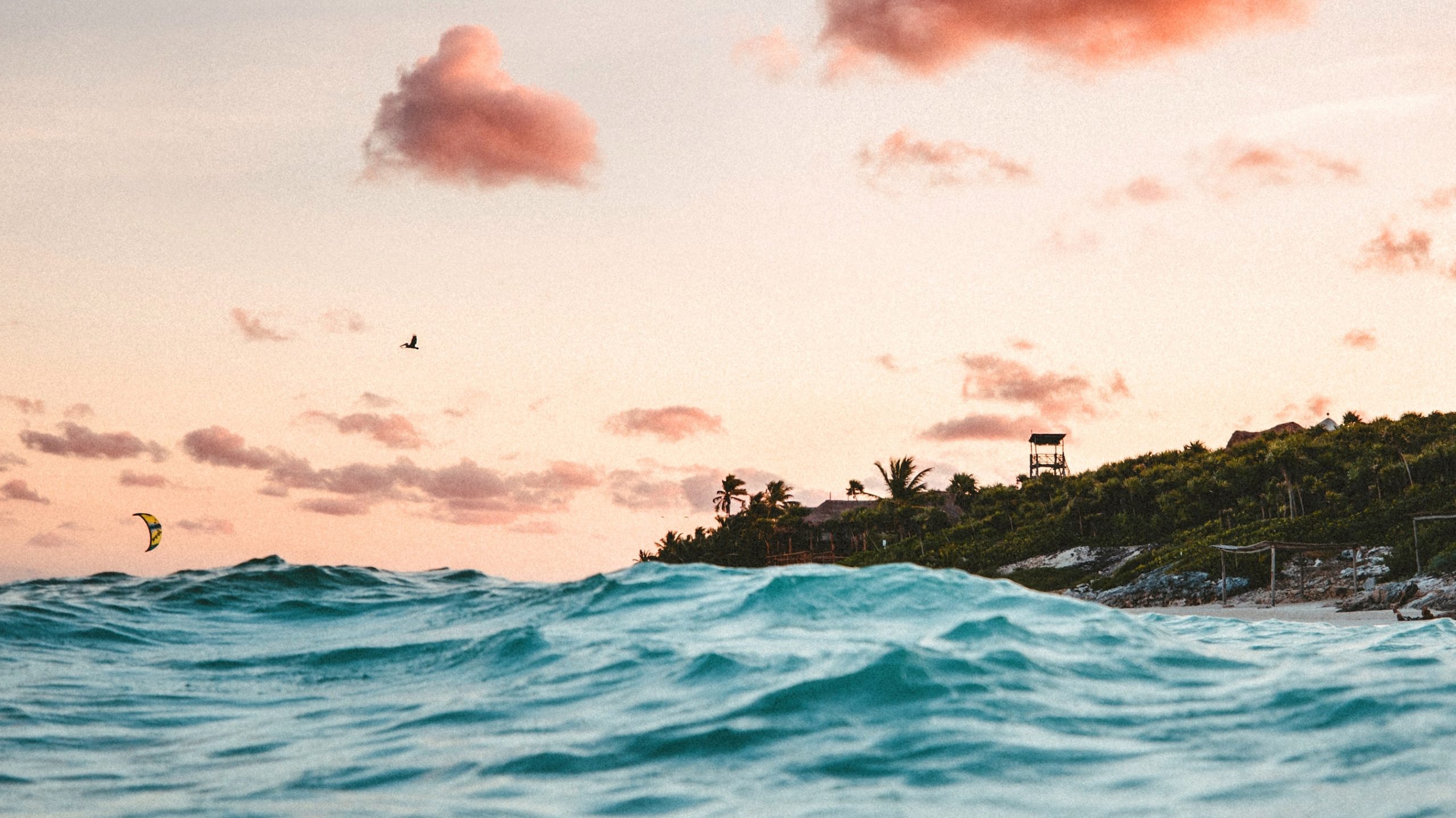 Boeken die je helpen naar een vrij en onafhankelijk leven