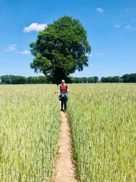 35e98f38 9935 489d a591 02c2fb37ac15