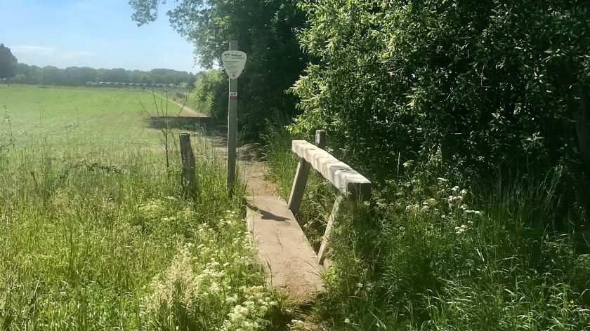 Klompenpad het Uddelermeerpad - bruggetje