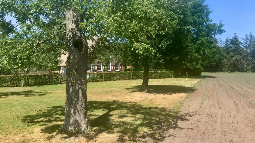 Klompenpad het Uddelermeerpad - boerderij