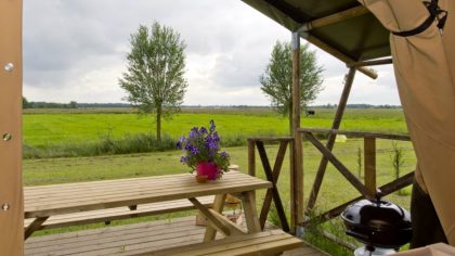 Bijzonder overnachten in de provincie Groningen - Natuurhuisje in Lettelbert