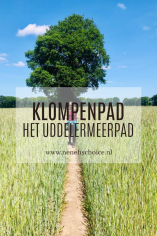 Wandelen over een klompenpad_ het Uddelermeerpad Apeldoorn