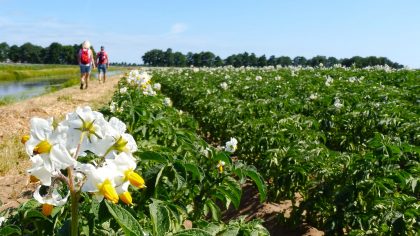 de mooiste dorpjes in Groningen, Pieterpad in Pieterburen